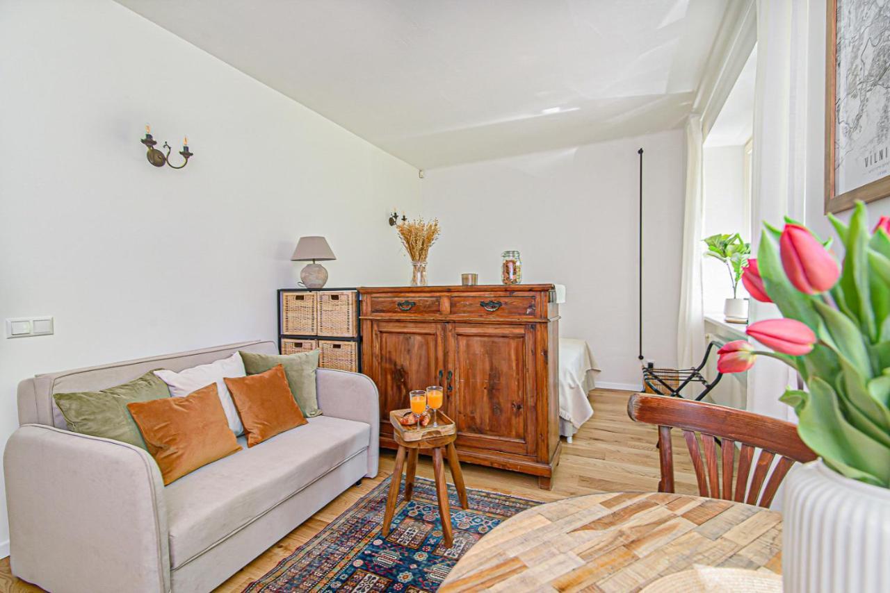 Cozy Studio In The Heart Of Vilnius Old Town Exterior foto